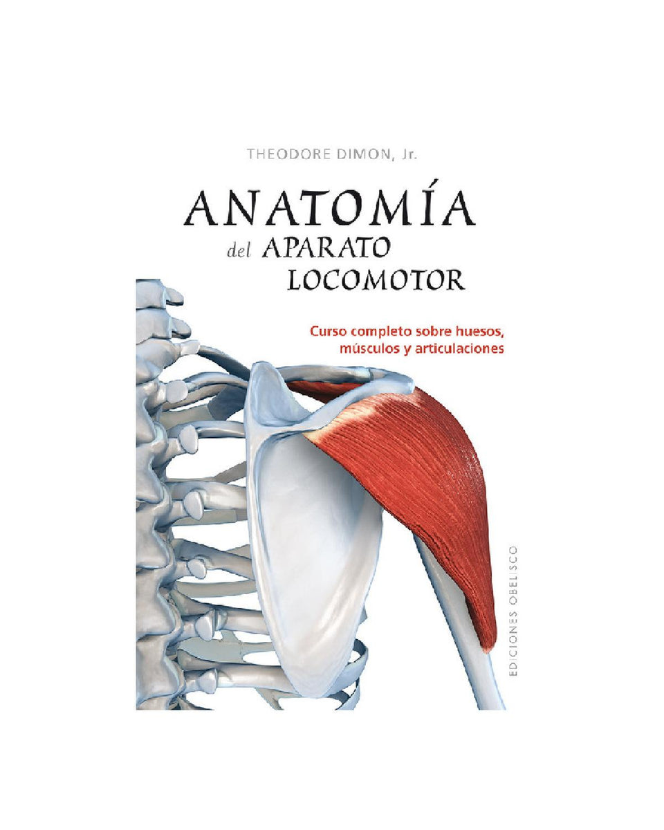 Anatomía del aparato locomotor – Cadabra \u0026 Books, image size:960x1200