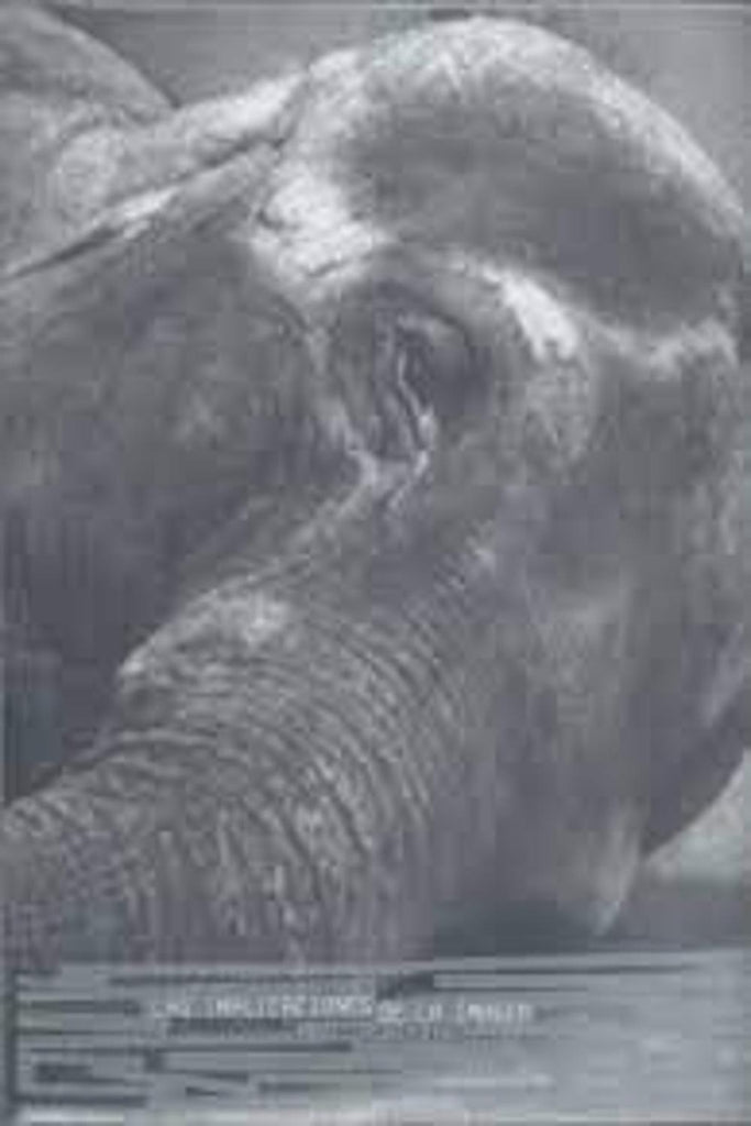 jpg_1500x1500_64734833