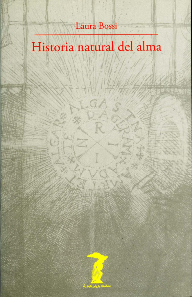 21267495