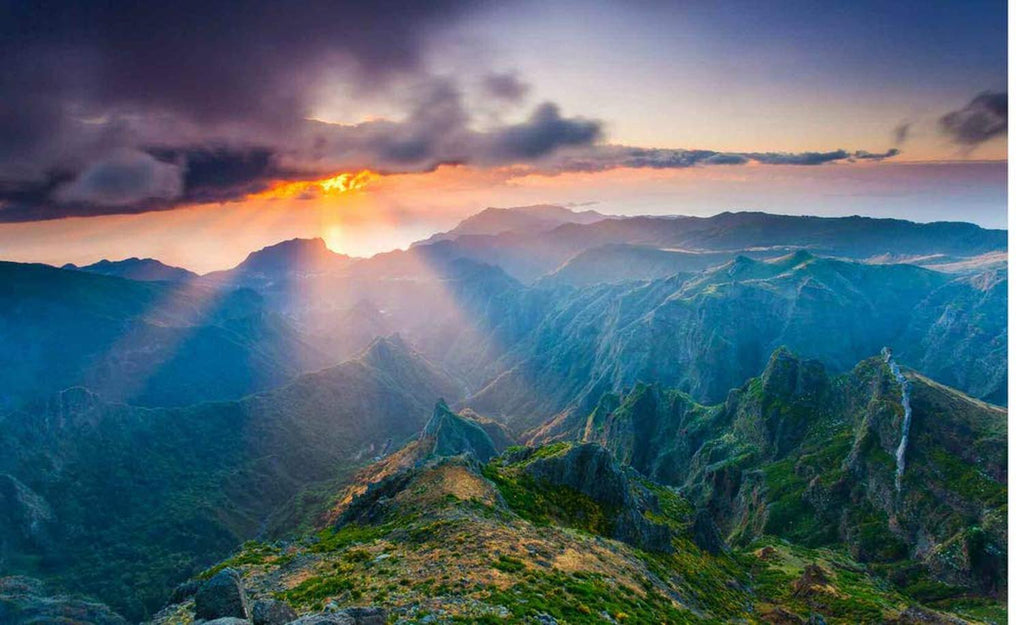 jpg_1500x1500_64471136