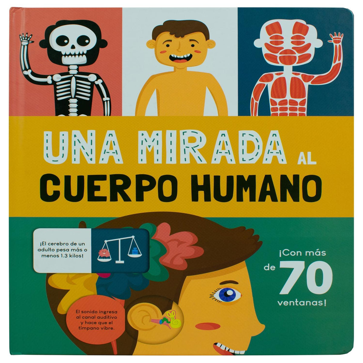 Libro infantil con ventanas: Una mirada al cuerpo humano – Cadabra & Books