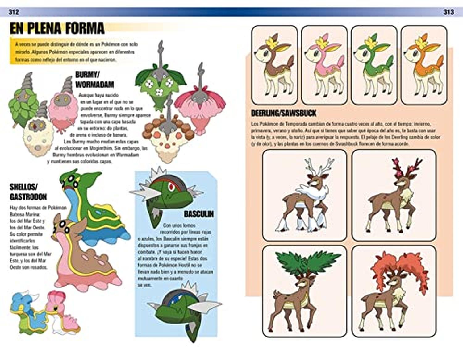 Pokemon Visual Routine Guía Visual del Mundo Pokémon / Pokemon Visual Companion – Cadabra & Books
